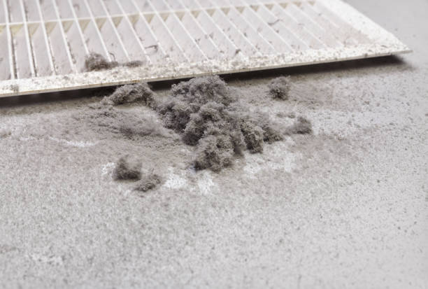 Best Ductwork Cleaning Services  in South Cleveland, TN
