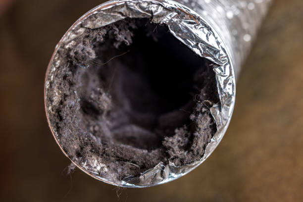 Best Air Duct Sanitizing Services  in South Cleveland, TN