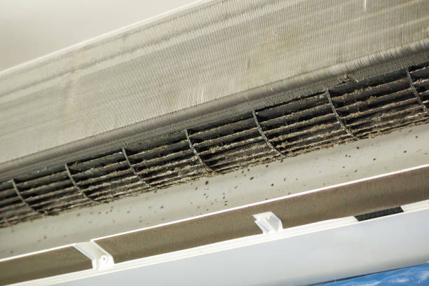 Best Home Air Vent Cleaning  in South Cleveland, TN